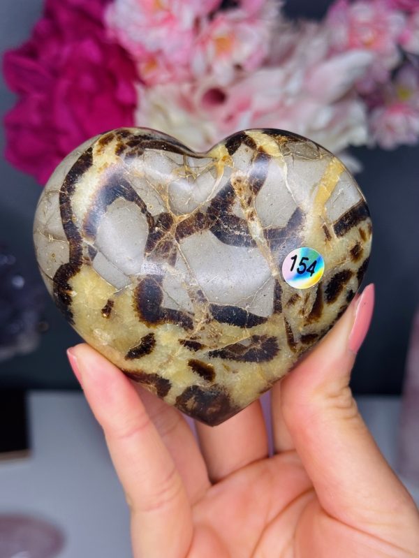 Coeur en Septaria, Madagascar, n°154