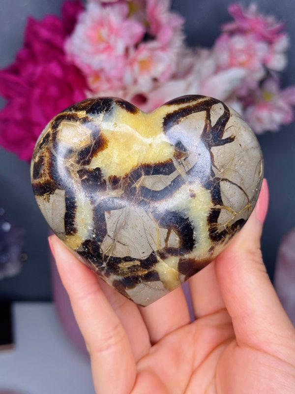 Coeur en Septaria, Madagascar, n°154