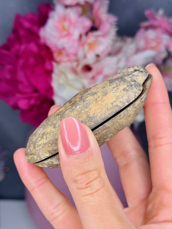 Nodule de Septaria entier n°423, Maroc