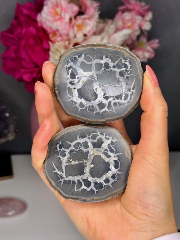 Nodule de Septaria entier n°422, Maroc