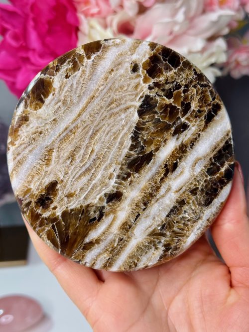 Plaque ronde en Calcite Chocolat, Maroc