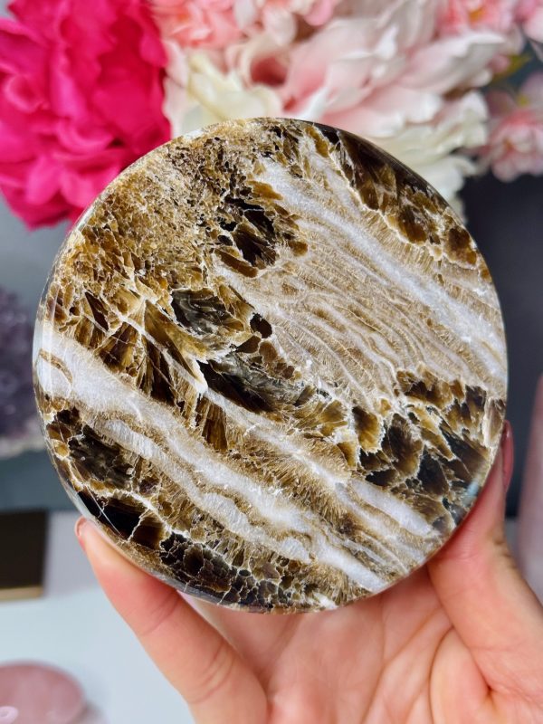 Plaque ronde en Calcite Chocolat, Maroc