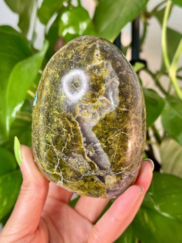 Forme libre en Opale verte de Madagascar minéraux cristaux pierres naturelles lithothérapie 2 Forme Libre en Opale Verte de Madagascar, N.162