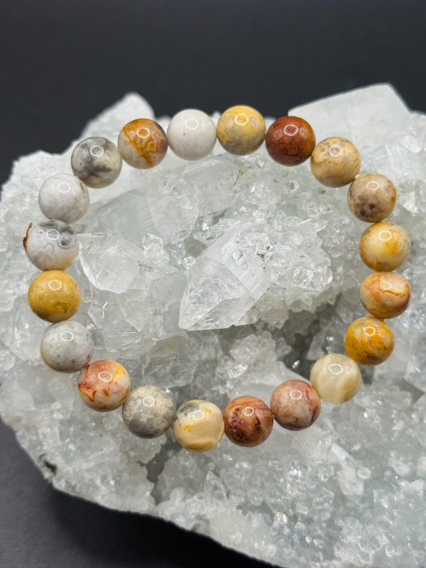 Bracelet Joie & Vitalité – Agate Crazy Lace (8mm) – 16cm