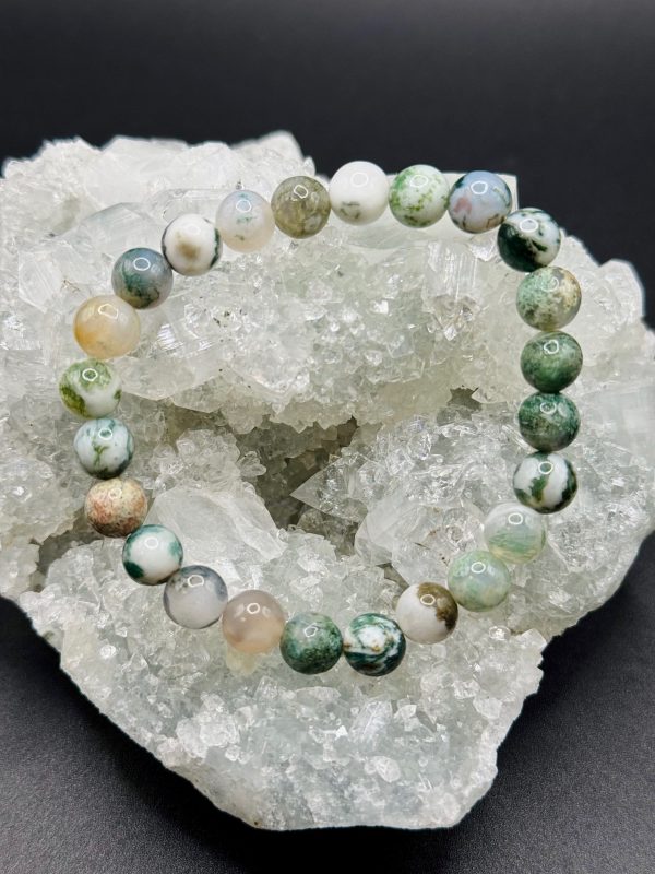 Bracelet Renaissance & Nature – Agate Mousse (8mm) – 16cm