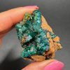 Dioptase de collection – République du Congo N.2