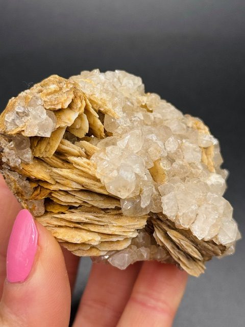 Quartz sur Barytine crêtée – Gard, France N.1
