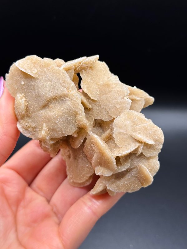 Rose des Sables