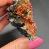 Vanadinite sur Baryte noire – Maroc N.7
