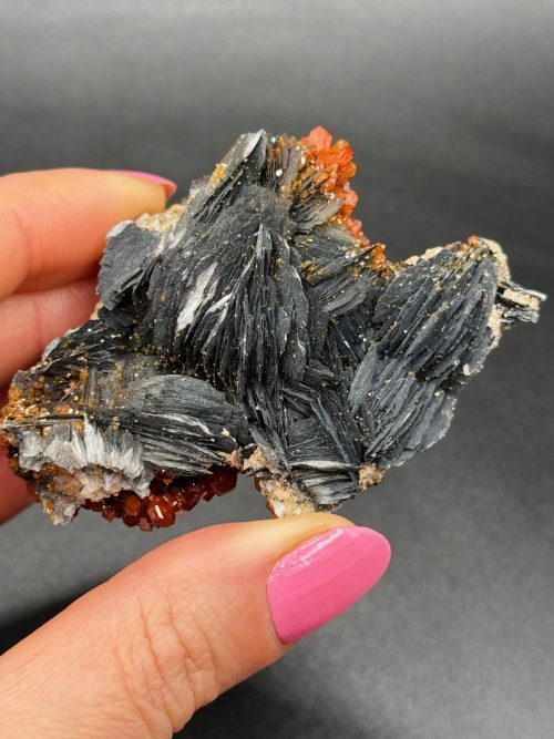 Vanadinite sur Baryte noire – Maroc N.7
