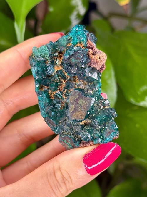 Dioptase de collection – République du Congo N.1