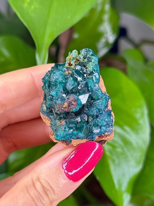 Dioptase de collection – République du Congo N.2