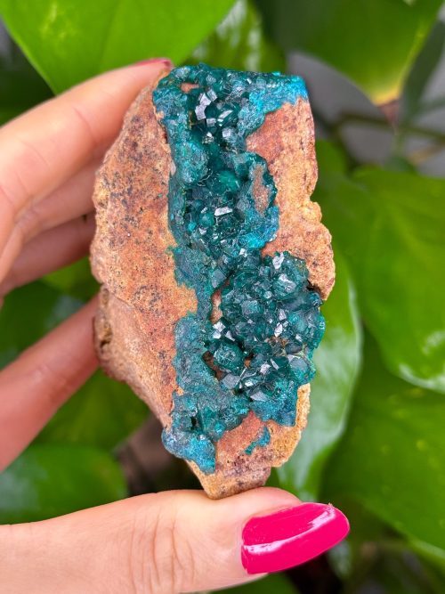 Dioptase de collection – République du Congo N.3