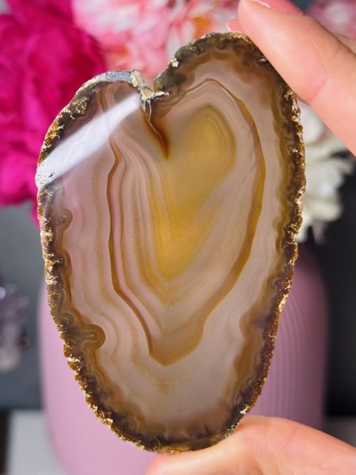 Tranche d’Agate, Brésil