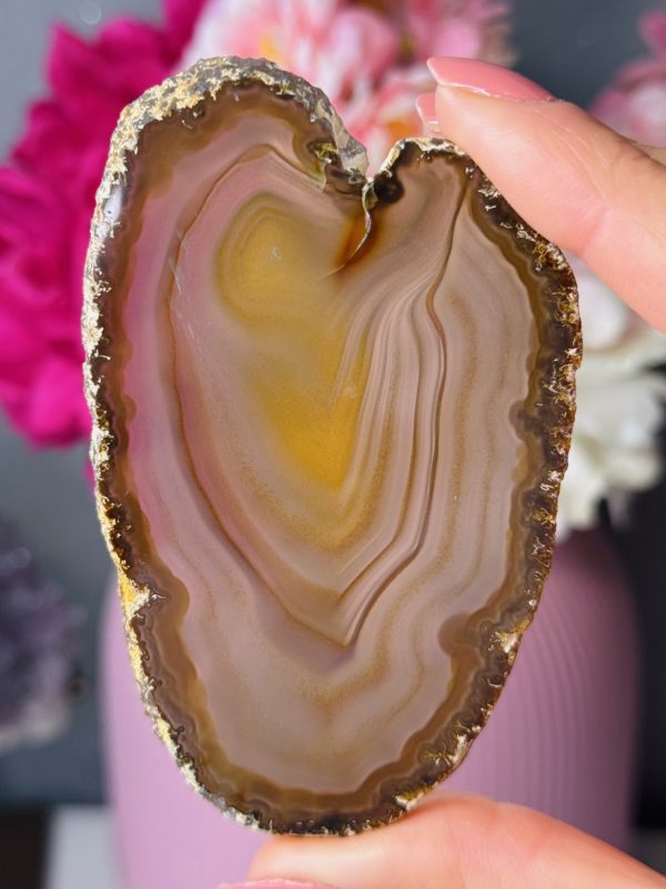 Tranche d’Agate, Brésil