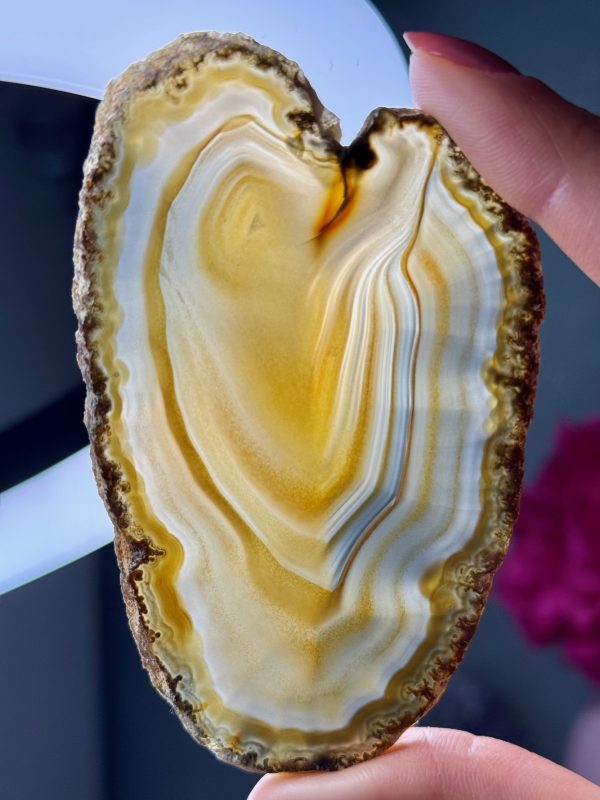 Tranche d’Agate, Brésil