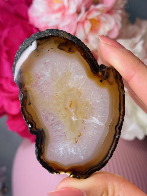 Tranche d’Agate, Brésil