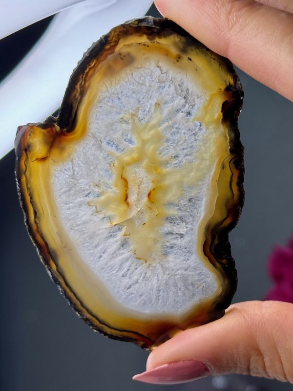 Tranche d’Agate, Brésil