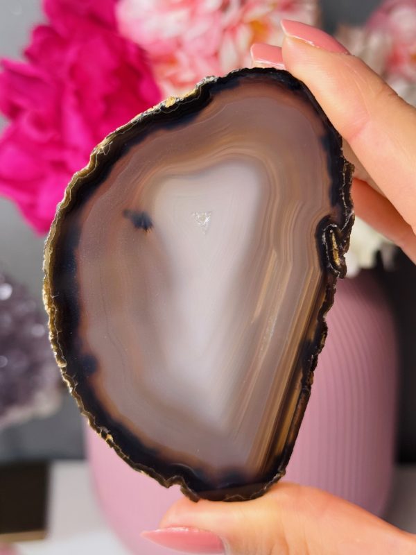 Tranche d'Agate, Brésil