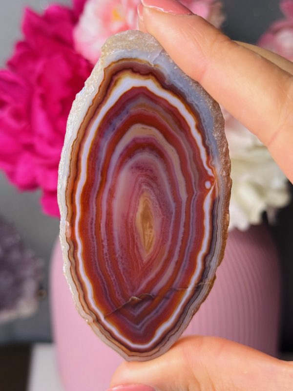 Tranche d’Agate, Brésil