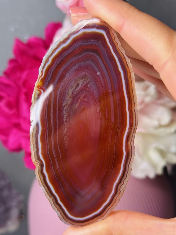 Tranche d’Agate, Brésil