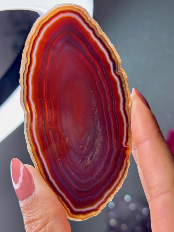 Tranche d’Agate, Brésil