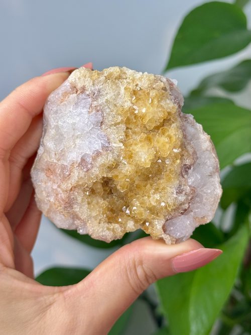 Citrine chauffée brute Brésil minéraux cristaux collection pierres naturelles Citrine (Améthyste Chauffée), Brésil
