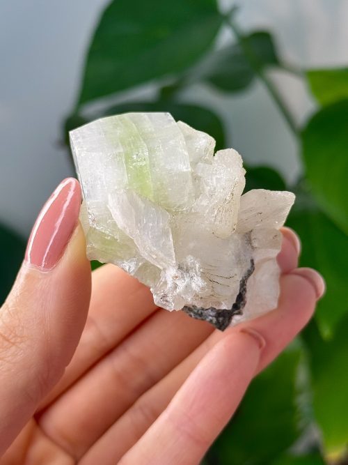 Druse apophyllite et stilbite Inde minéraux cristaux collection pierres naturelles 3 Druse Apophyllite et Stilbite, Inde