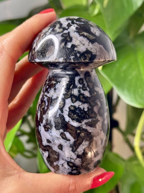 Champignon en Gabbro de Madagascar, N.226