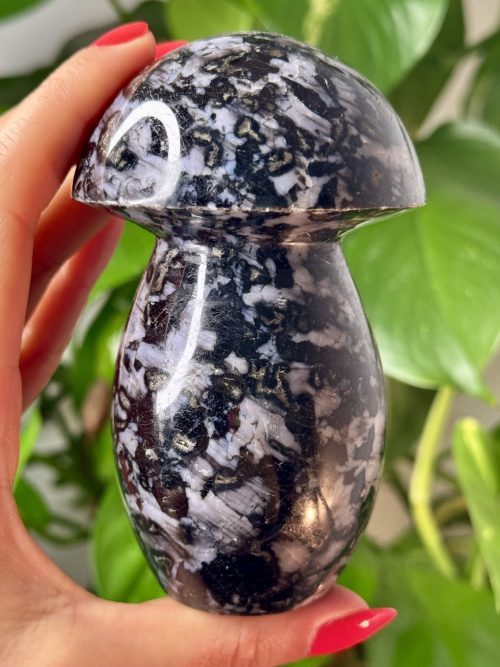 Champignon en Gabbro de Madagascar, N.227