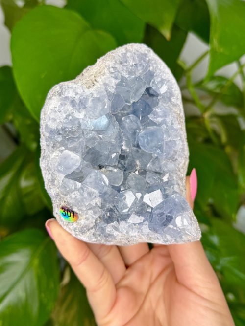 Célestine brute de Madagascar pierre naturelle bleue minéraux cristaux crystals minerals lithothérapie ésotérisme 307 2 Célestine brute, Madagascar, N.307