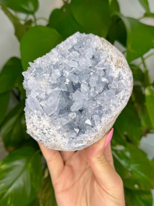 Célestine brute de Madagascar pierre naturelle bleue minéraux cristaux crystals minerals lithothérapie ésotérisme 308 2 Célestine brute, Madagascar, N.308