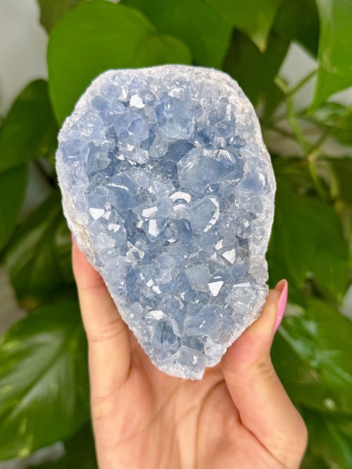 Célestine brute de Madagascar pierre naturelle bleue minéraux cristaux crystals minerals lithothérapie ésotérisme 309 Célestine brute, Madagascar, N.309