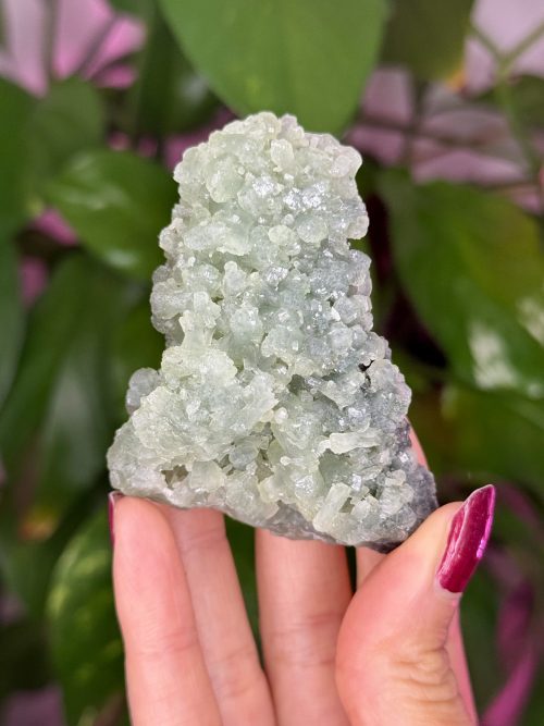 Prehnite verte, Maroc, N.483
